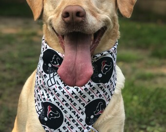 texans dog bandana