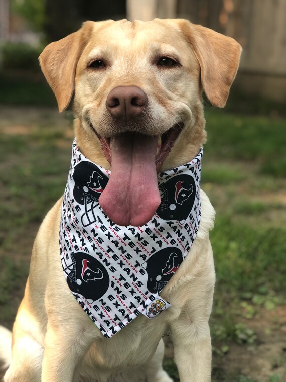 texans dog bandana