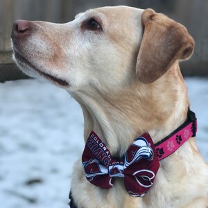 Colorado Avalanche Bow Tie Colorado Avalanche Avs Bow Tie Dog Bow Tie Cat Bow Tie Pet Neck Tie Avs Dog Tie Dog Gift Neck Tie image 3