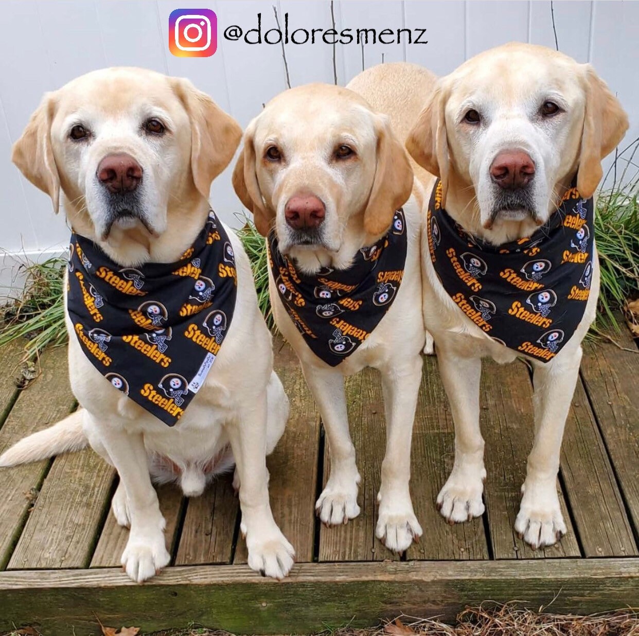 Pittsburgh Steelers Bandana Dogcat Bandana Pet Bandana Snap