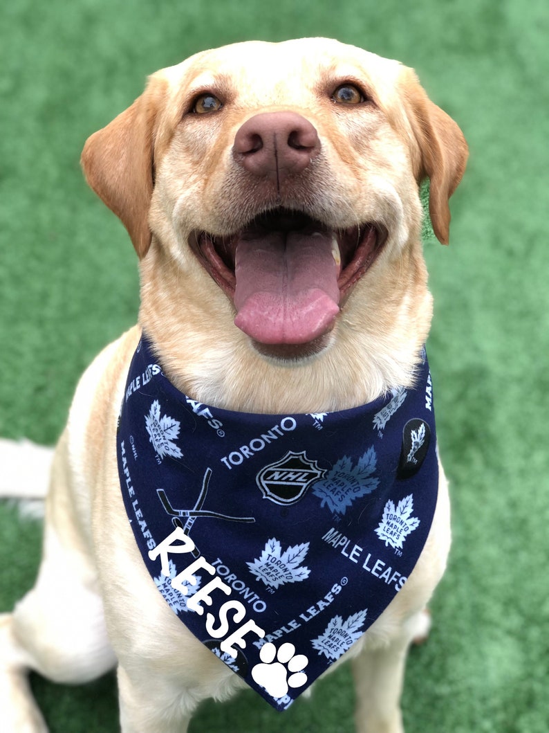 Toronto Maple Leafs Bandana 3 Styles /DogCat Bandana / Pet Bandana / NHL Pet Wear / Snap Bandana / TML Pet Wear / Dog Fashion / image 7