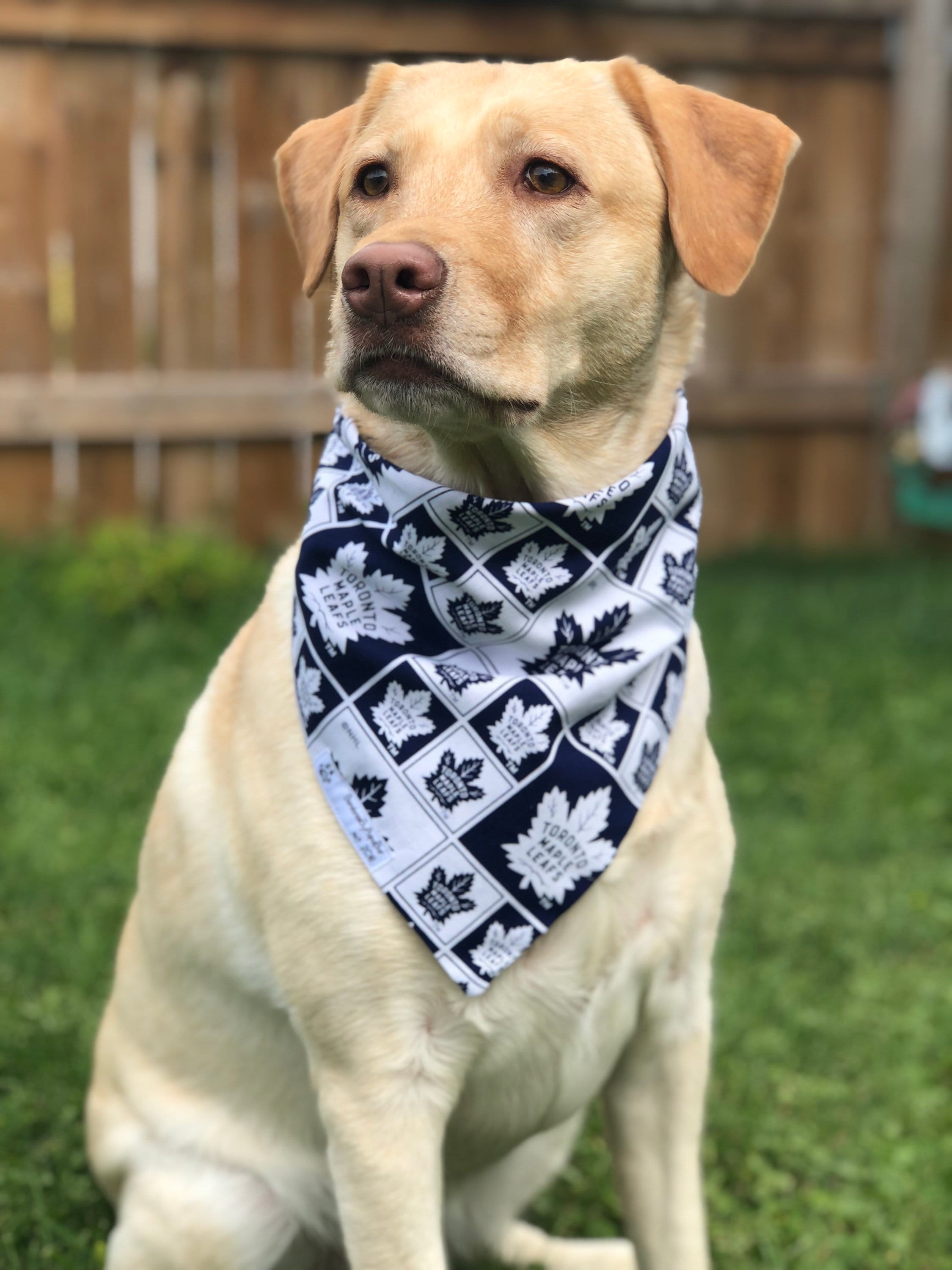 Toronto maple sale leafs dog bandana