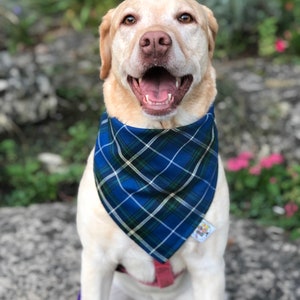 Nova Scotia Tartan / Dog•Cat Bandana / Pet Bandana / Flannel / Snap Bandana / Personalized Bandana / Fall Fashion / Winter Fashion