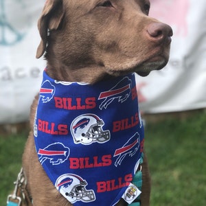 May include: A brown dog wearing a blue bandana with a white buffalo and the word "Bills" repeated on it. The bandana also features a white football helmet.