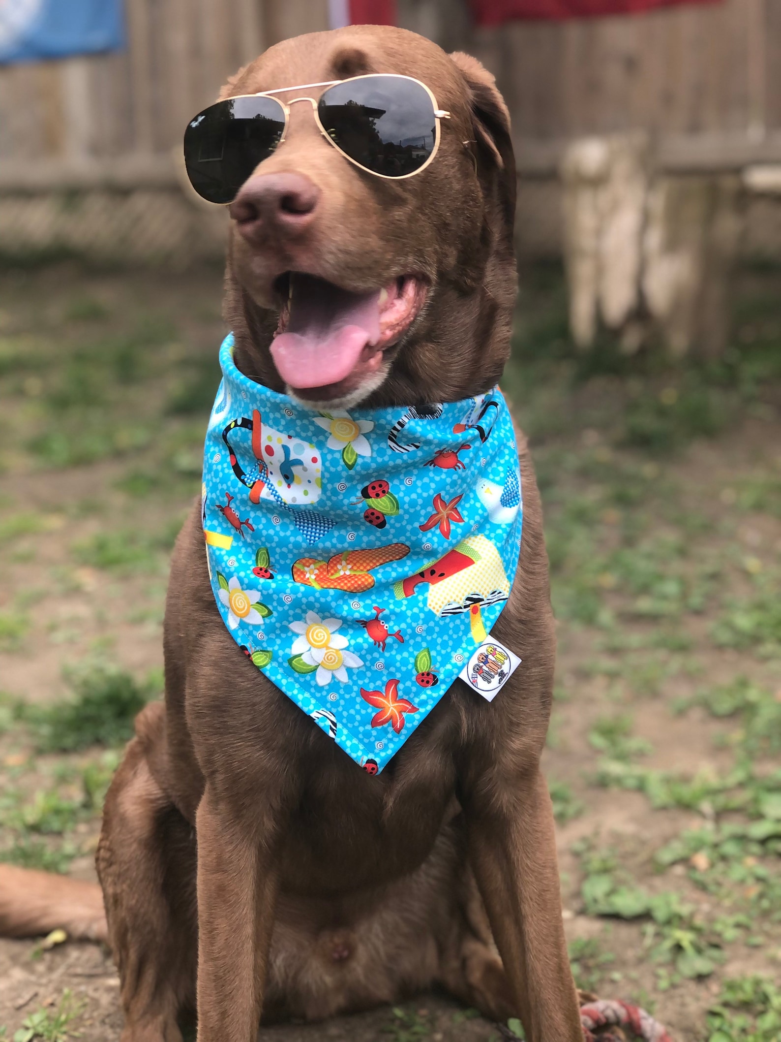 Beach Bandana / Summer Dog Bandana / Dog Cat Bandana / Beach Etsy