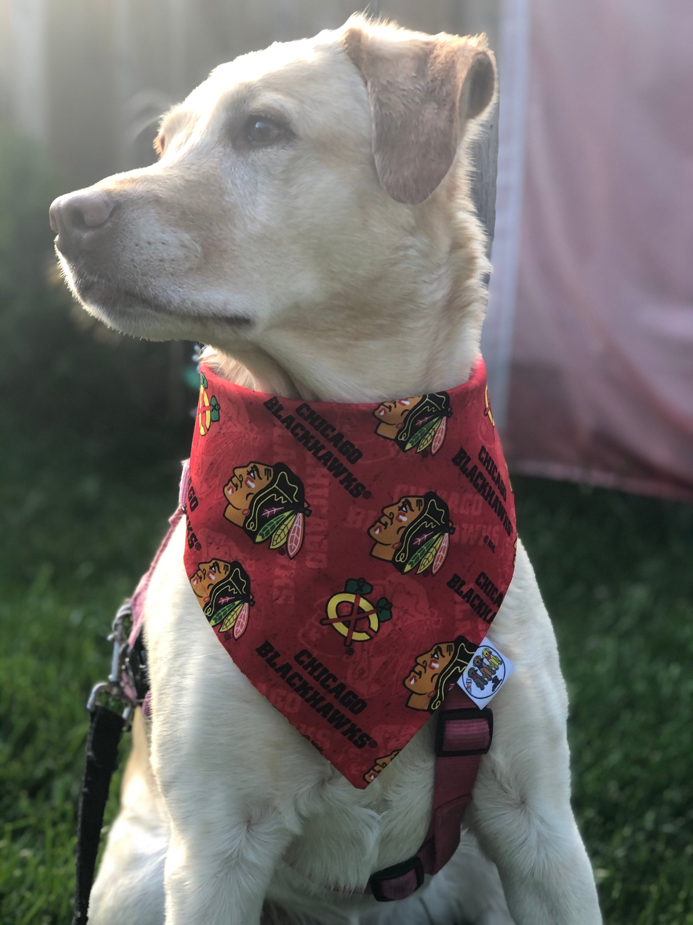 Chicago Blackhawks Bandana / Blackhawks / Dogcat Bandana / Etsy