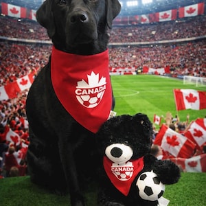 Team Canada Soccer Bandana / TFC / Canada / World Cup / Canada Soccer / Dog • Cat Bandana / Pet Bandana / Snap Bandana / Personalized / image 1