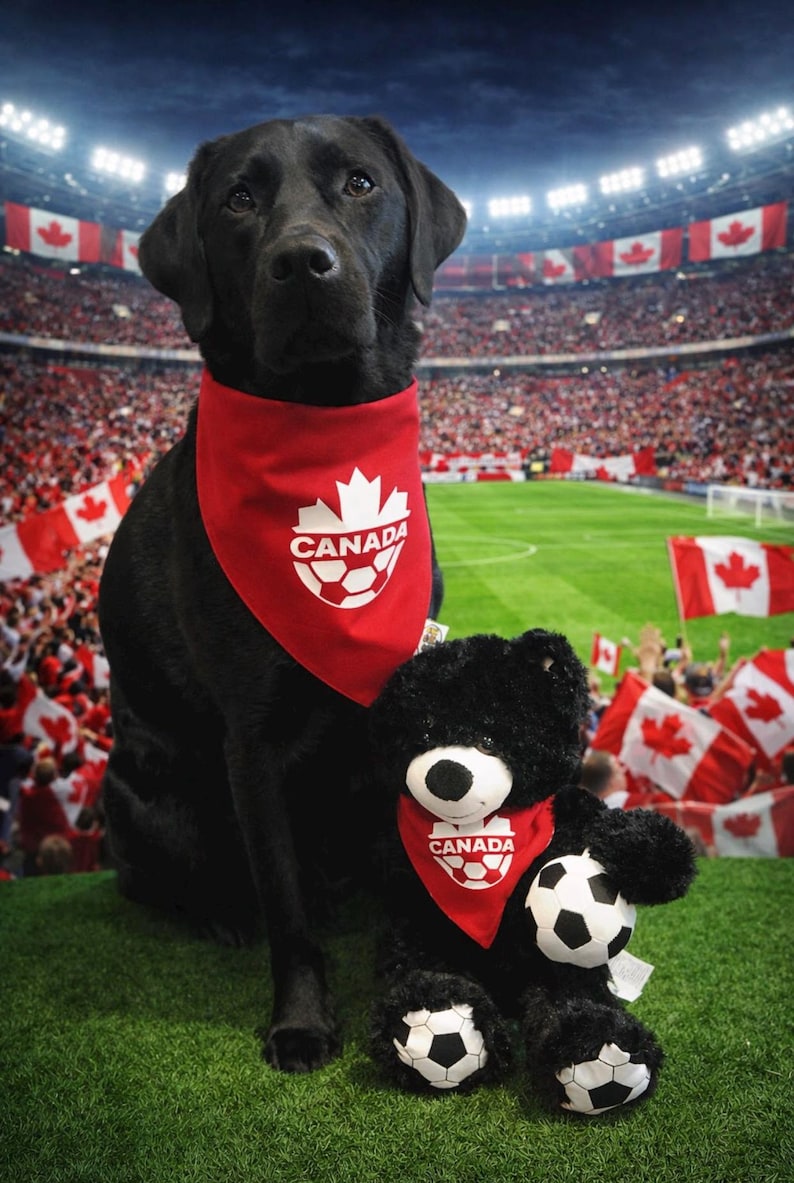 Team Canada Soccer Bandana / TFC / Canada / World Cup / Canada Soccer / Dog • Cat Bandana / Pet Bandana / Snap Bandana / Personalized / image 1
