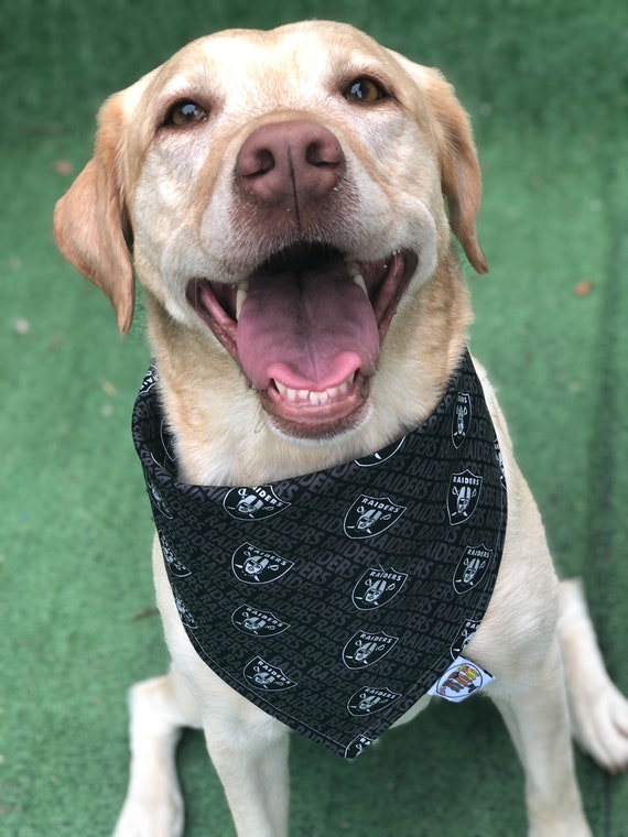 Las Vegas Raiders Over the Collar Dog Bandana // Raiders 