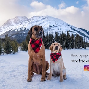 Buffalo Plaid / 2 STYLES / Dog•Cat Bandana / Pet Bandana / Buffalo Plaid Bandana / Snap Bandana / Fall Fashion / Winter Fashion