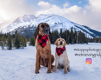 Buffalo Plaid / 2 STYLES / Dog•Cat Bandana / Pet Bandana / Buffalo Plaid Bandana / Snap Bandana / Fall Fashion / Winter Fashion