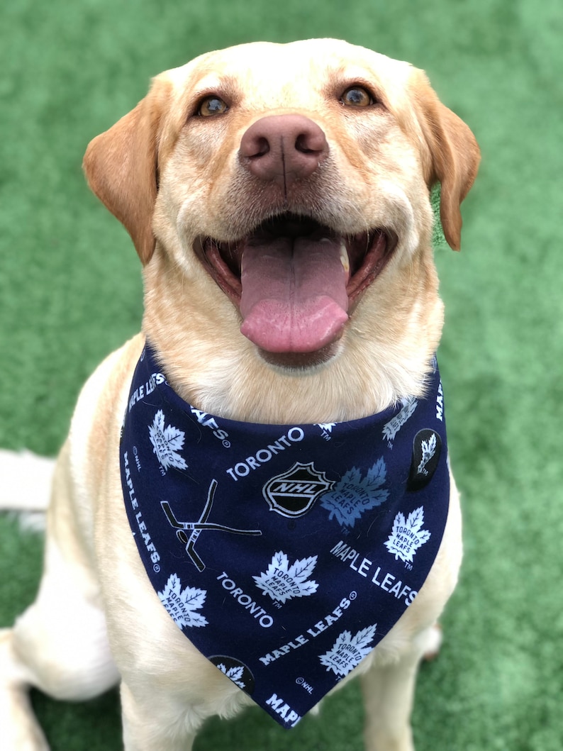 Toronto Maple Leafs Bandana 3 Styles /DogCat Bandana / Pet Bandana / NHL Pet Wear / Snap Bandana / TML Pet Wear / Dog Fashion / image 1