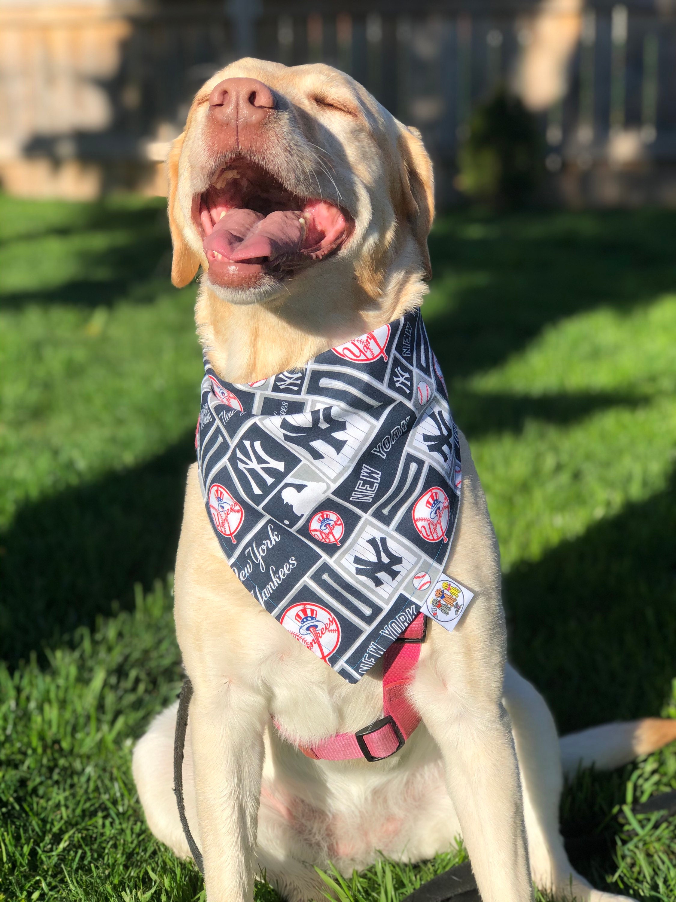 New York Yankees Bandana / NY Yankees / Dog Cat Bandana / -  Australia