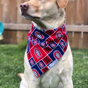 May include: A light-colored Labrador Retriever wearing a red, white, and blue bandana. The bandana features a repeating pattern of the Montreal Canadiens logo and text. The dog is sitting on green grass.