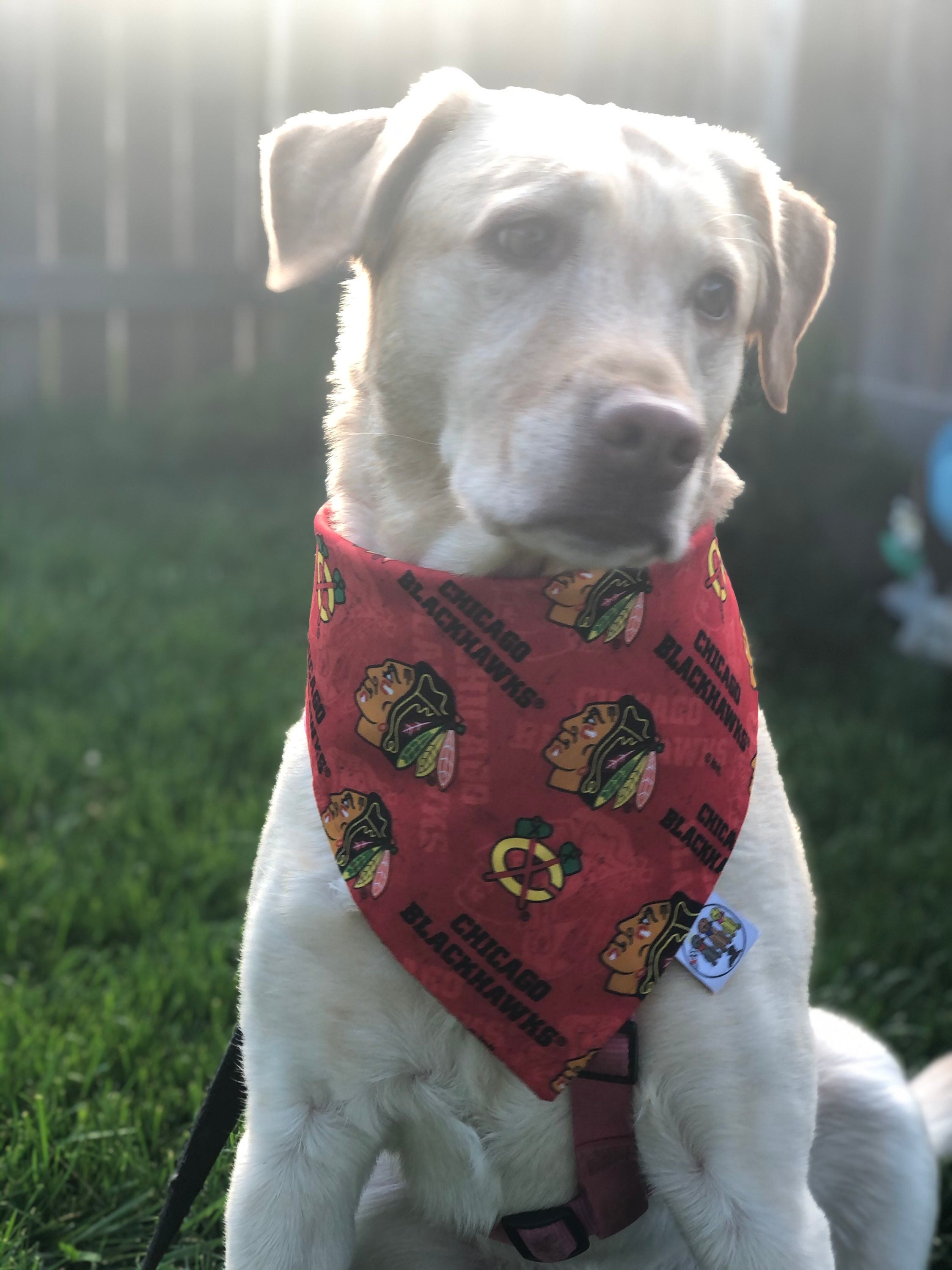 Chicago Blackhawks Bandana / Blackhawks / Dogcat Bandana / Etsy