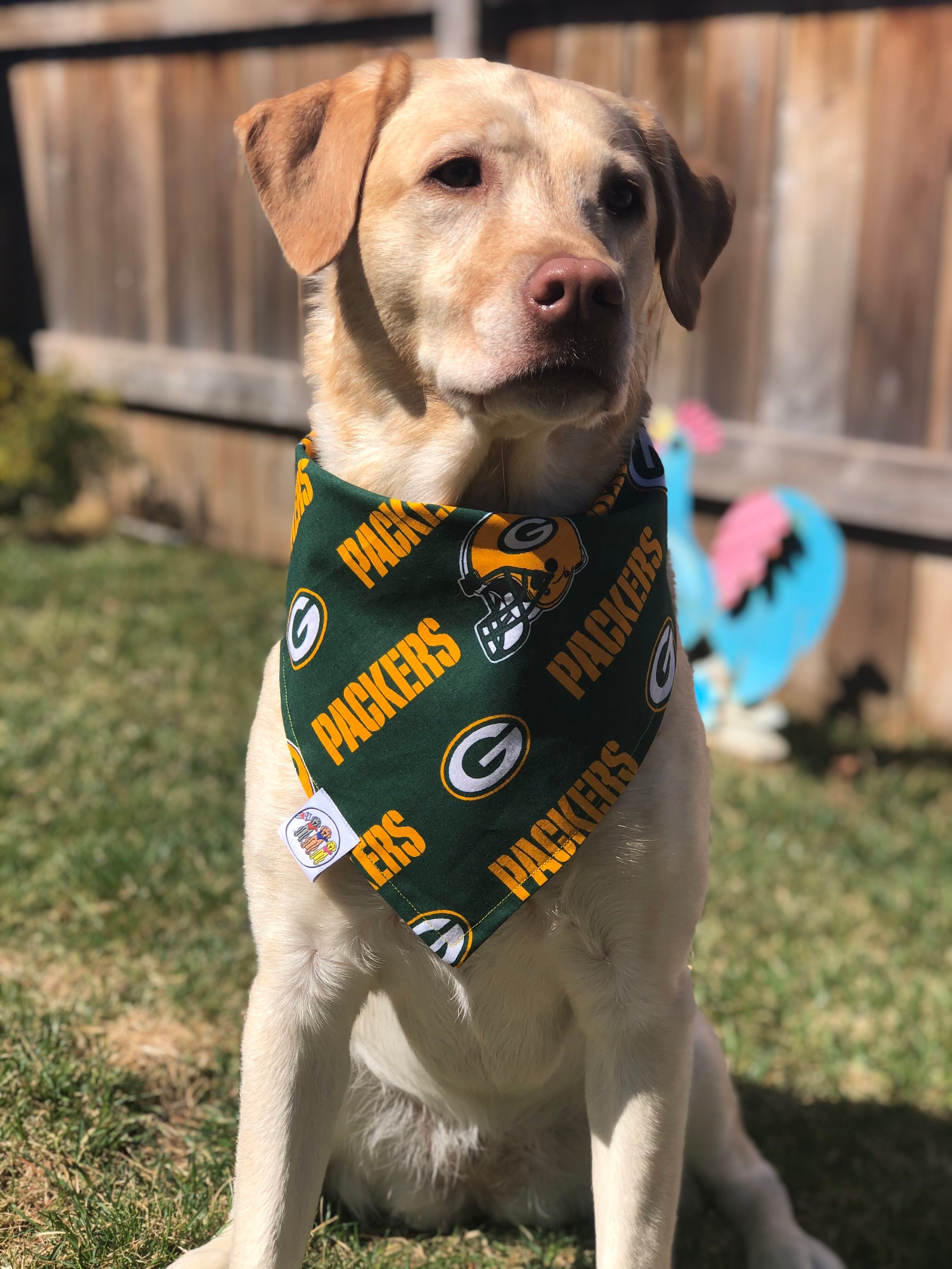 Green Bay Packer Dog 