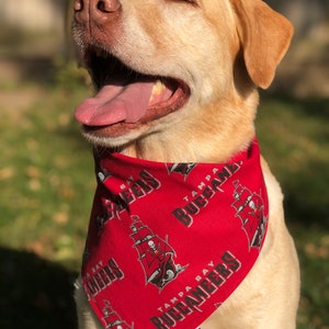 Peut inclure: Un chien Labrador Retriever jaune portant un bandana rouge avec un logo de crâne et d'os croisés blancs et le texte "Tampa Bay Buccaneers" répété sur le bandana.
