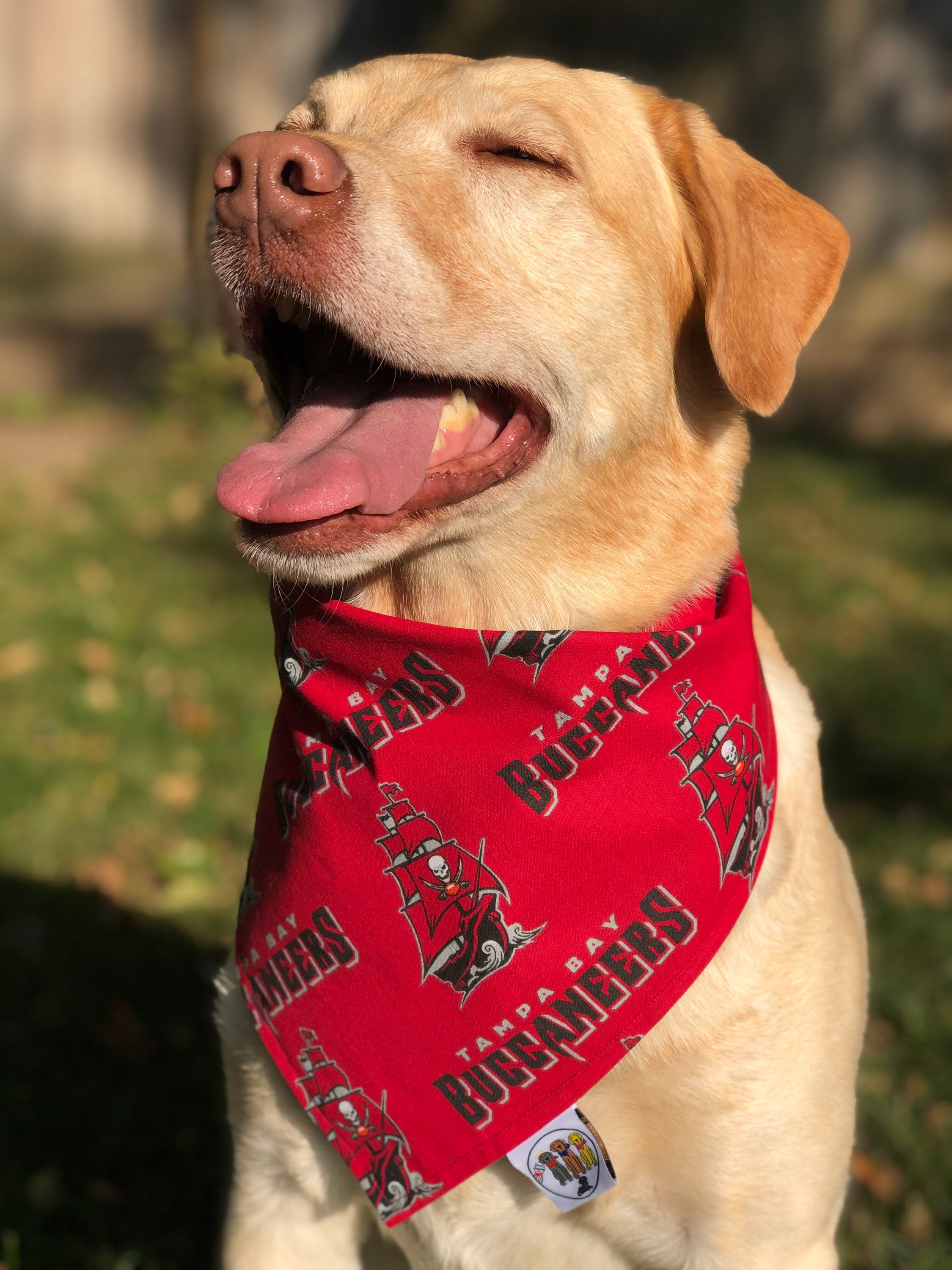 Kentucky - Louisville Red Toss Football — Personalized Dog Bandanas