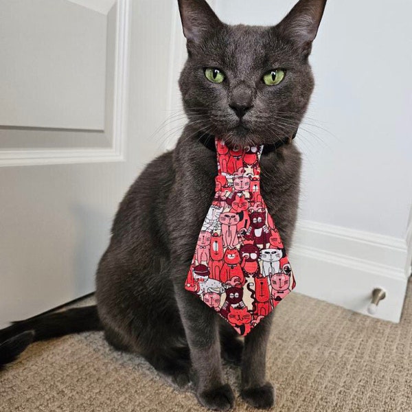 necktie cat