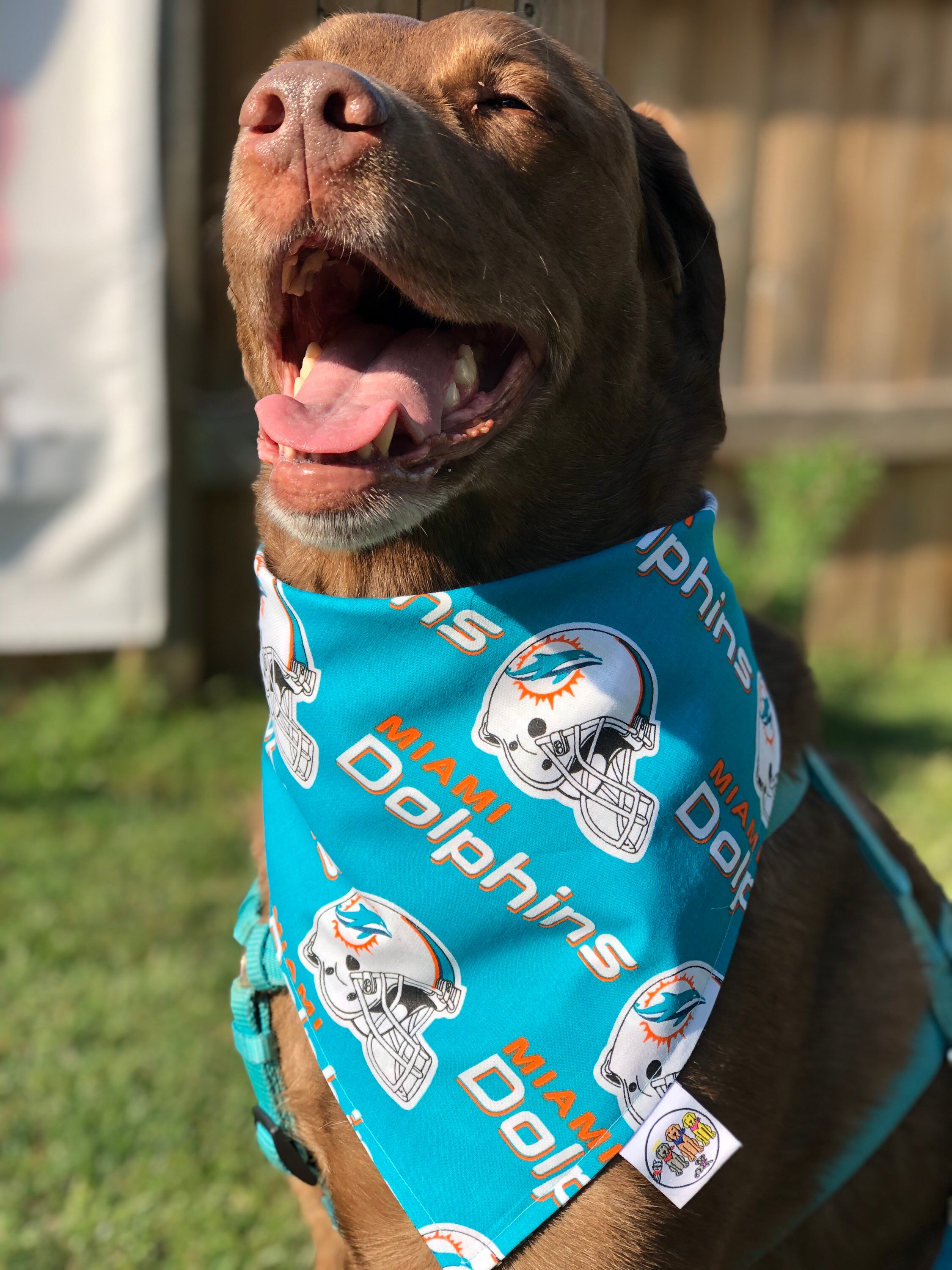 Dallas Cowboys Dog Etsy Canada