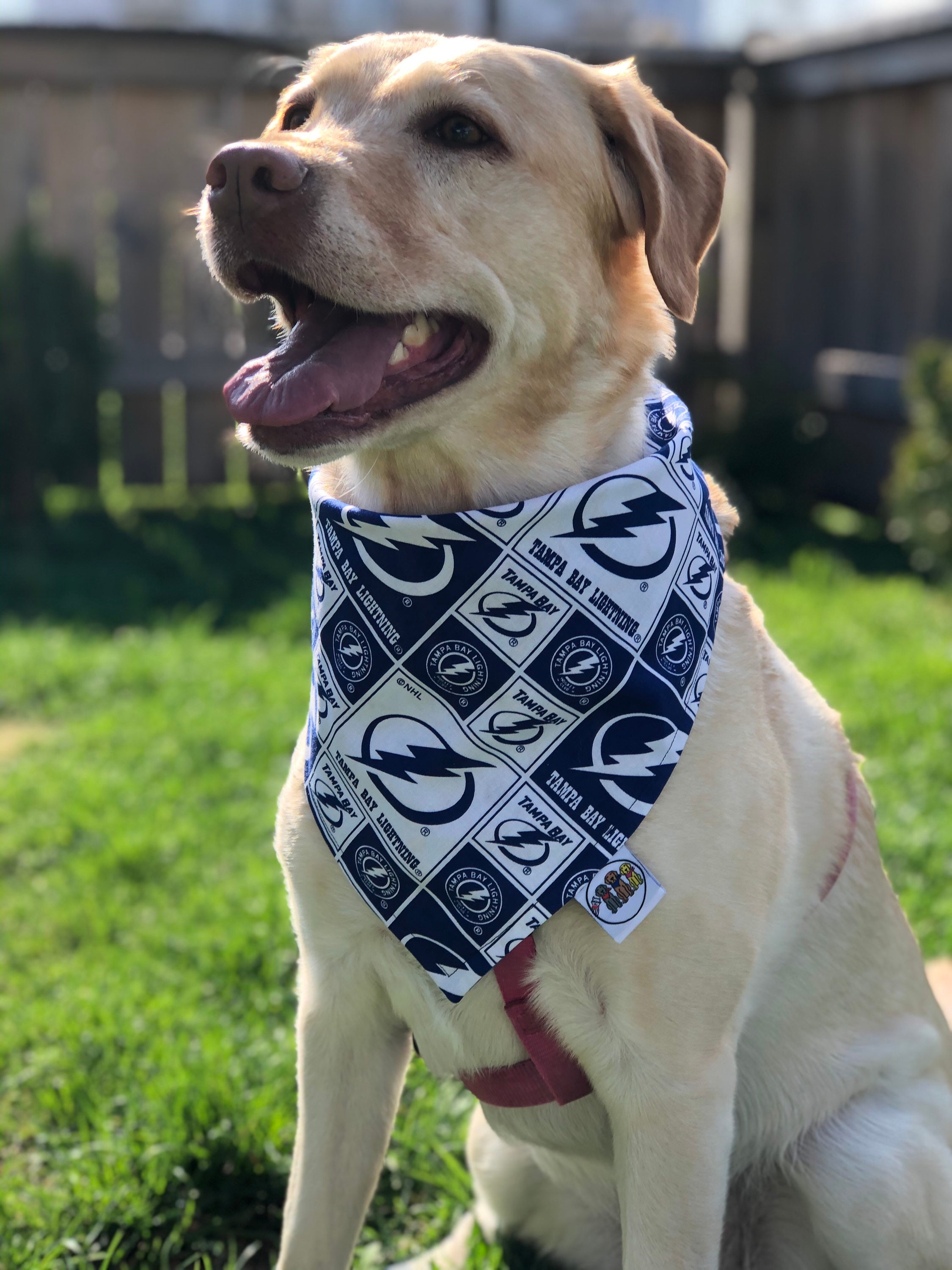  Pets First NHL Tampa Bay Lightning Bandana for Dogs & Cats,  Large/X-Large. - Cute & Stylish Bandana! The Perfect Hockey Fan Scarf  Bandana, Great for Birthdays Or Any Party! 