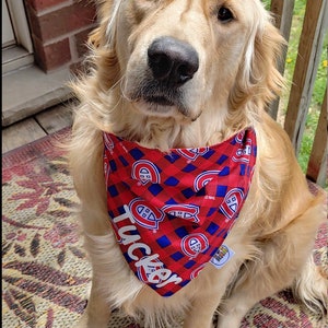 May include: A golden retriever wearing a red and blue plaid bandana with the Montreal Canadiens logo and the name "Tucker". The dog is sitting on a patterned rug.