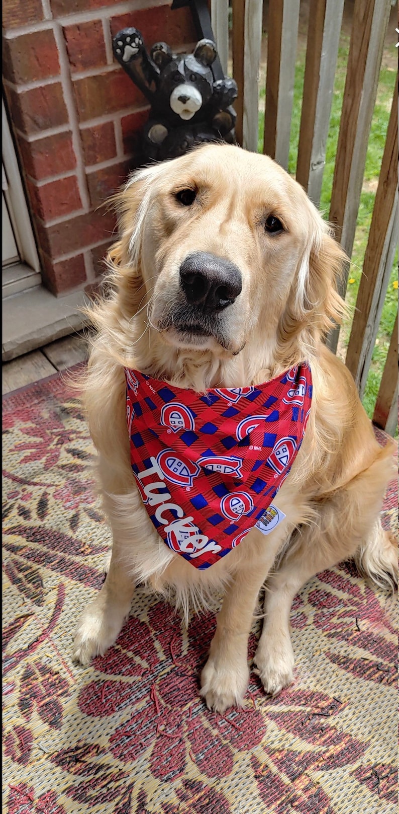 May include: A golden retriever wearing a red and blue plaid bandana with the Montreal Canadiens logo and the name "Tucker". The dog is sitting on a patterned rug.
