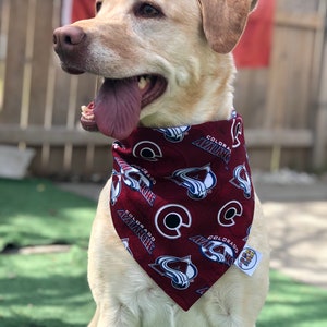 Colorado Avalanche Bandana / Colorado Avalanche / Dog•Cat Bandana / Pet Bandana / Snap Bandana / Avs Pet Wear / Dog Fashion / Cat Fashion