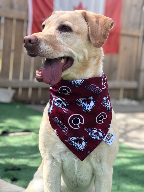 Colorado Avalanche Bandana / Colorado Avalanche / Dog•Cat Bandana / Pet  Bandana / Snap Bandana / Avs Pet Wear / Dog Fashion / Cat Fashion