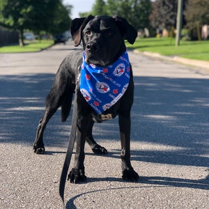 Toronto Blue Jays /  Toronto / Dog • Cat Bandana / Pet Bandana / Blue Jays / MLB Dog Bandana / MLB / Snap-On Bandana /