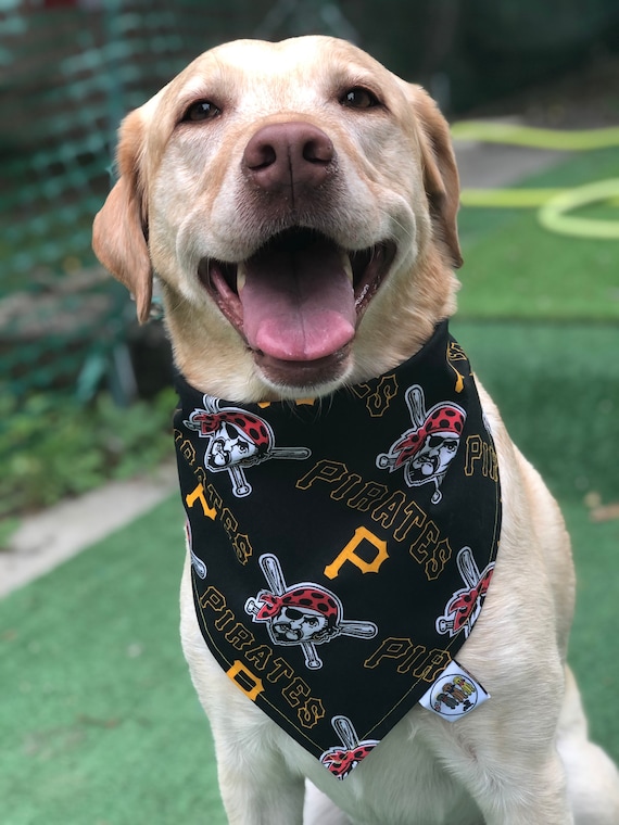 pittsburgh pirates dog jersey