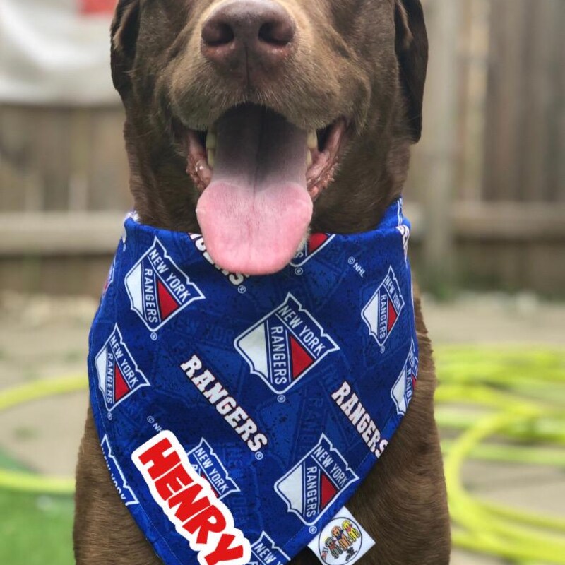 New York Rangers Pet Bandanna Size L Reversible Team Logo main image 0