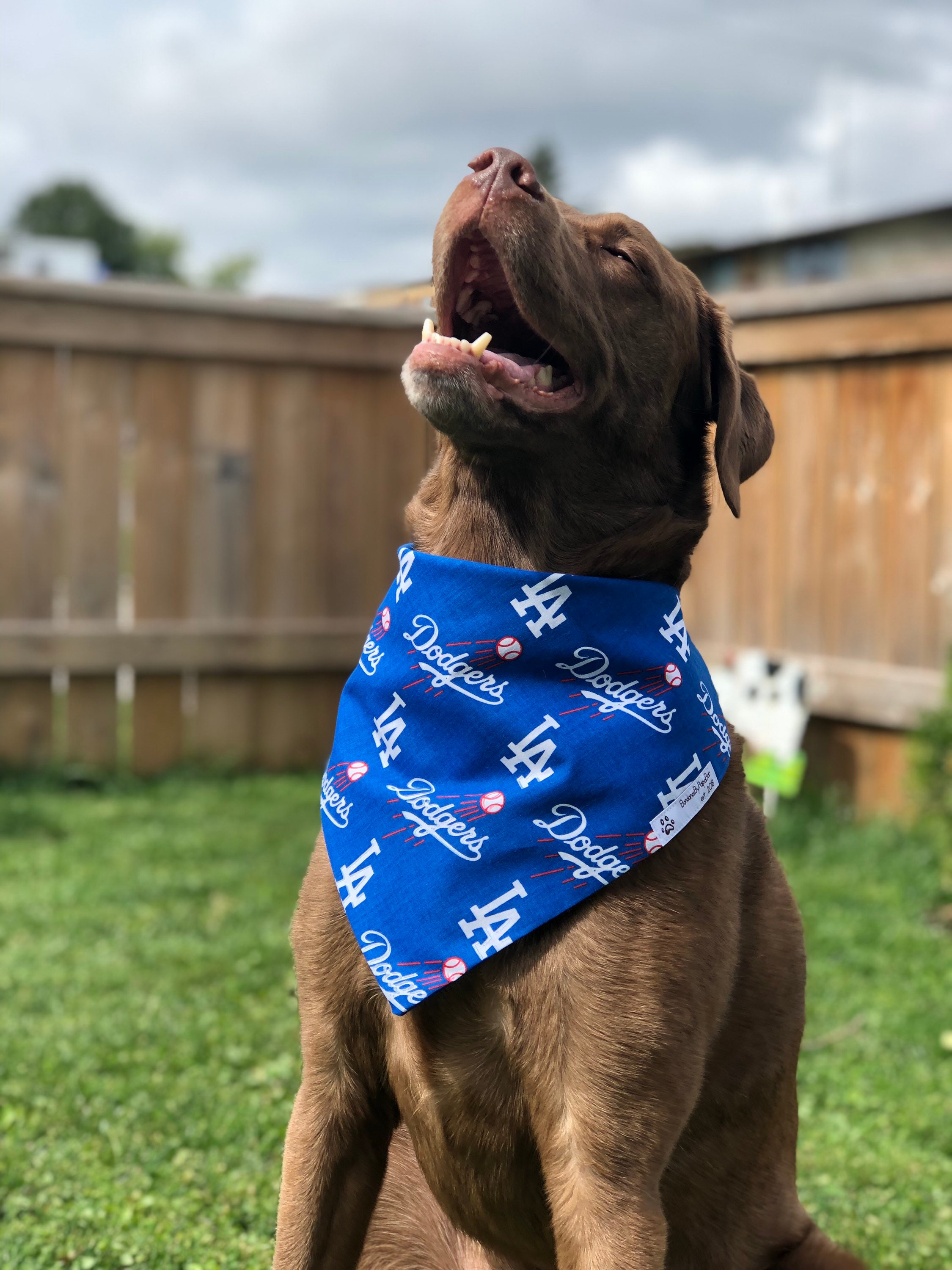 LA Dodgers Pet Jersey