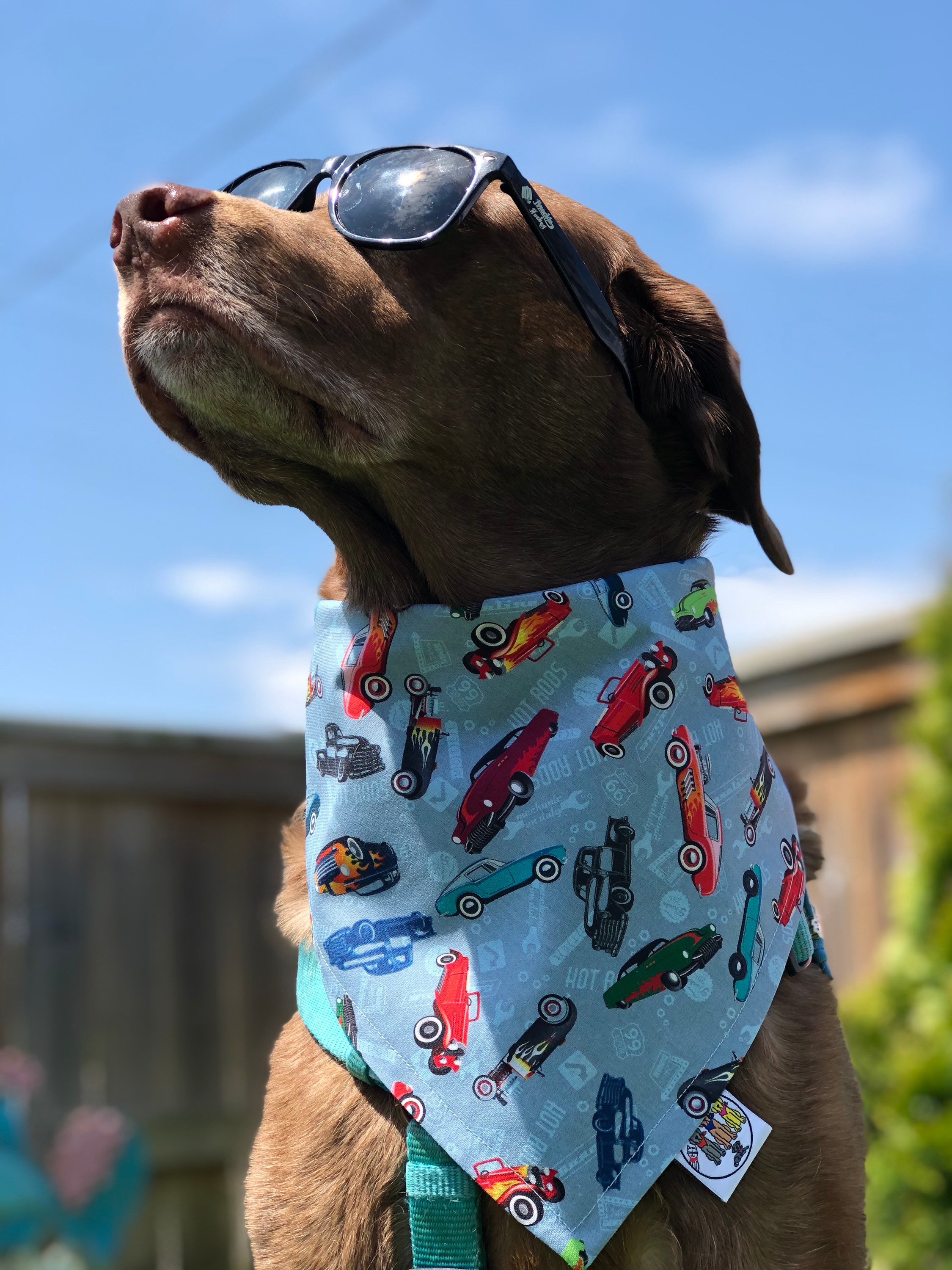 Pet Bandana Dallas Cowboys Handkerchief Best Dog Bandanas