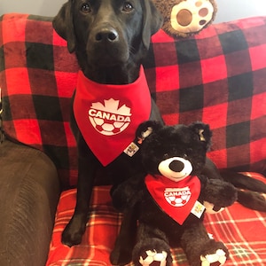 May include: A black Labrador Retriever wearing a red bandana with a white maple leaf and the word "CANADA" on it. The dog is sitting on a red and black checked blanket with a black teddy bear wearing a similar bandana.