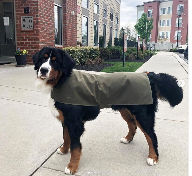 canvas rain jacket