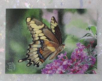 Summer Lilac Swallowtail Butterfly art print | 5x7 inch | Nature illustration art print, painting, butterfly, flowers