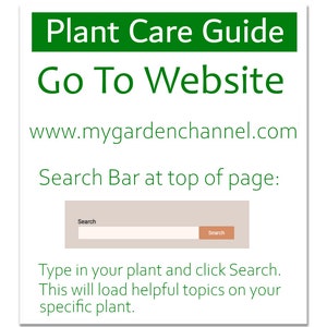 Op de afbeelding: Een groen en witte afbeelding met de tekst "Plant Care Guide" en "Go To Website". Het websiteadres www.mygardenchannel.com wordt weergegeven. Er worden instructies gegeven om te zoeken naar onderwerpen over plantenverzorging.