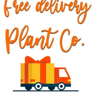 May include: A cartoon delivery truck with a gift box on the back. The truck is red and yellow with black wheels. The text "Free delivery Plant Co." is in orange above the truck. The text "FREE SHIPPING" is in blue below the truck.