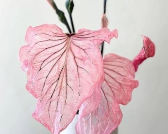 FREE SHIPPING - Pink Princess Symphony Caladium Bulbs