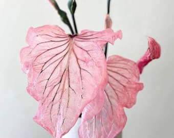 Pink Princess Symphony Caladium Bulbs Live Plant (ALL Starter Plants REQUIRE You to Purchase 2 plants) ppp Pre-Order March