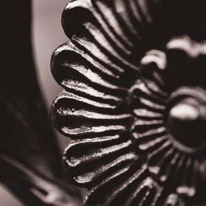 Black and White iron filigree art photo print