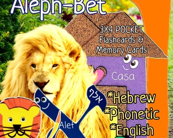 Aleph -Bet 4x3 pocket Flash and Memory cards