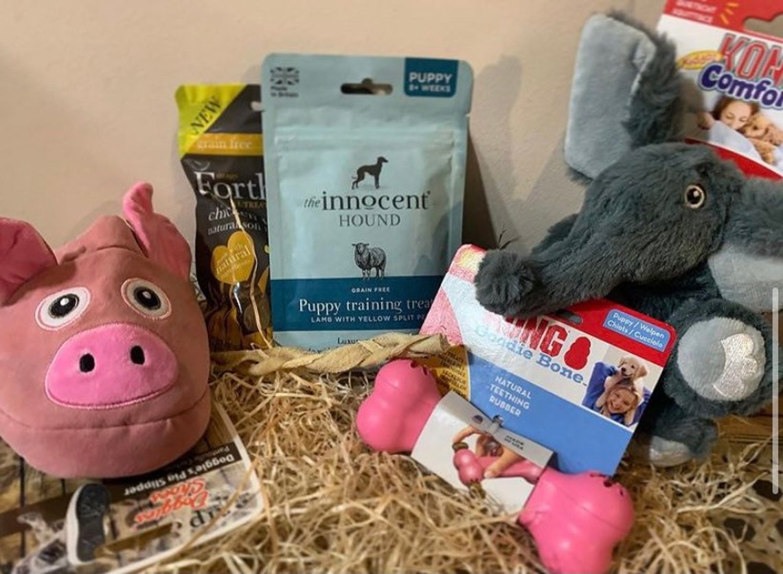 Monthly Dog Box Subscription Etsy