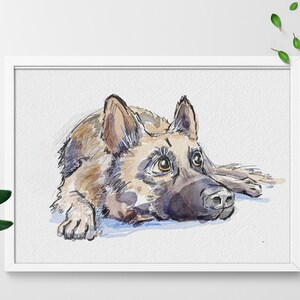 K&ouml;nnte beinhalten: Aquarellmalerei eines Deutschen Sch&auml;ferhundes, der liegt und mit herausgestreckter Zunge nach oben schaut. Der Hund ist braun und schwarz mit einer wei&szlig;en Brust.
