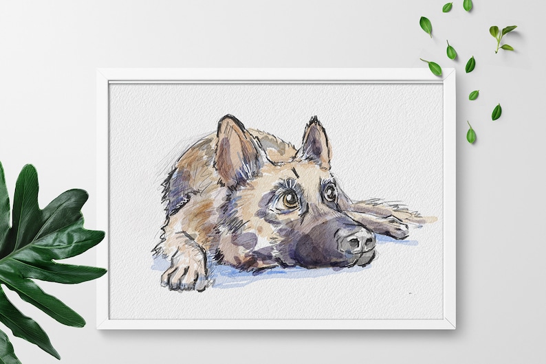 K&ouml;nnte beinhalten: Aquarellmalerei eines Deutschen Sch&auml;ferhundes, der liegt und mit herausgestreckter Zunge nach oben schaut. Der Hund ist braun und schwarz mit einer wei&szlig;en Brust.