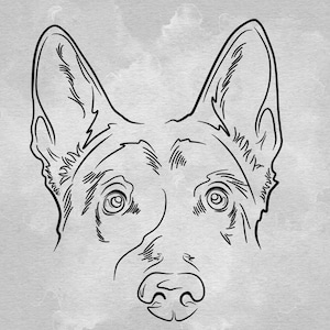 Custom pet face outline, Digital hand drawn, dog line drawing, custom pet portrait, Drawing from photo, Custom pet sketch, Pet lover gift