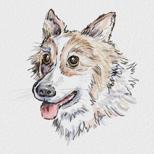 K&ouml;nnte beinhalten: Aquarell-Illustration eines Hundekopfes mit braunem und wei&szlig;em Fell. Der Hund hat eine rosa Zunge herausgestreckt und schaut nach rechts.