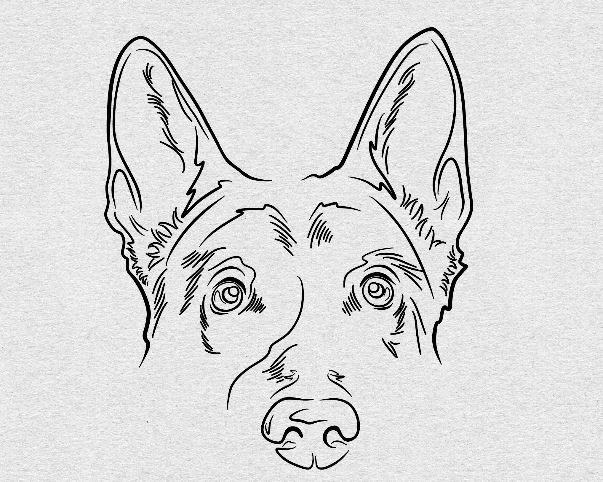 Custom Pet Head Outline Drawing Dog Ear Drawing Pet Face - Etsy