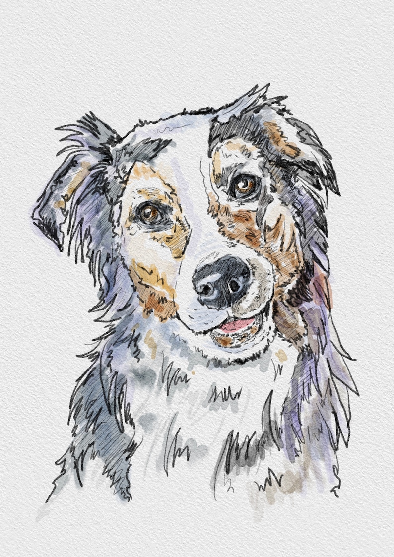 K&ouml;nnte beinhalten: Aquarellmalerei eines Hundekopfes. Der Hund hat schwarzes, wei&szlig;es und braunes Fell. Der Hund schaut nach rechts und hat einen fr&ouml;hlichen Gesichtsausdruck.